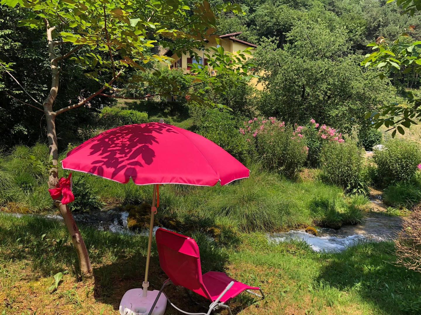 Quellbach Brasa